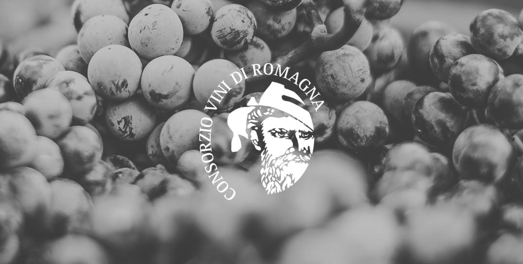 Rocche Malatestiane | Consorzio Vini di Romagna